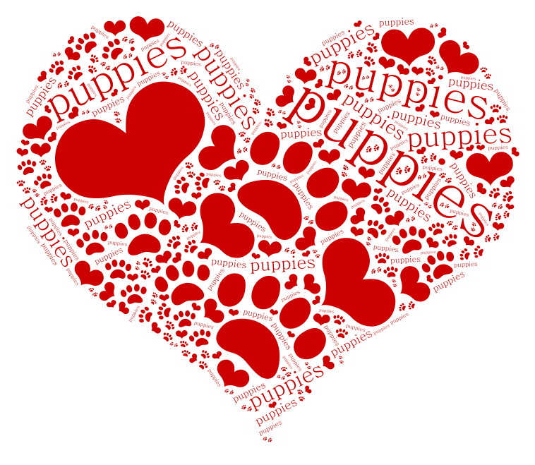 puppy-love-wordart