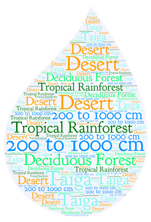 Rainforest – WordArt.com