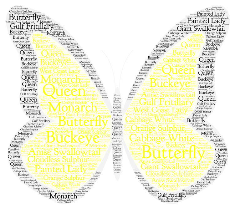 Different Types Of Butterflys - WordArt.com