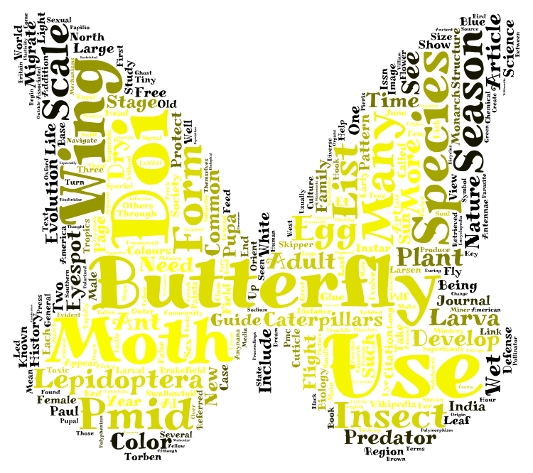 butterfly-wordart