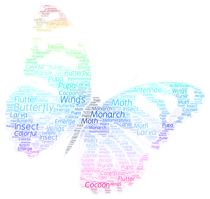 Butterfly – Wordart.com