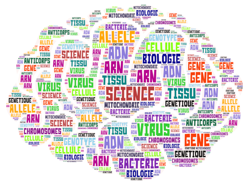 svt nuages de mots 2