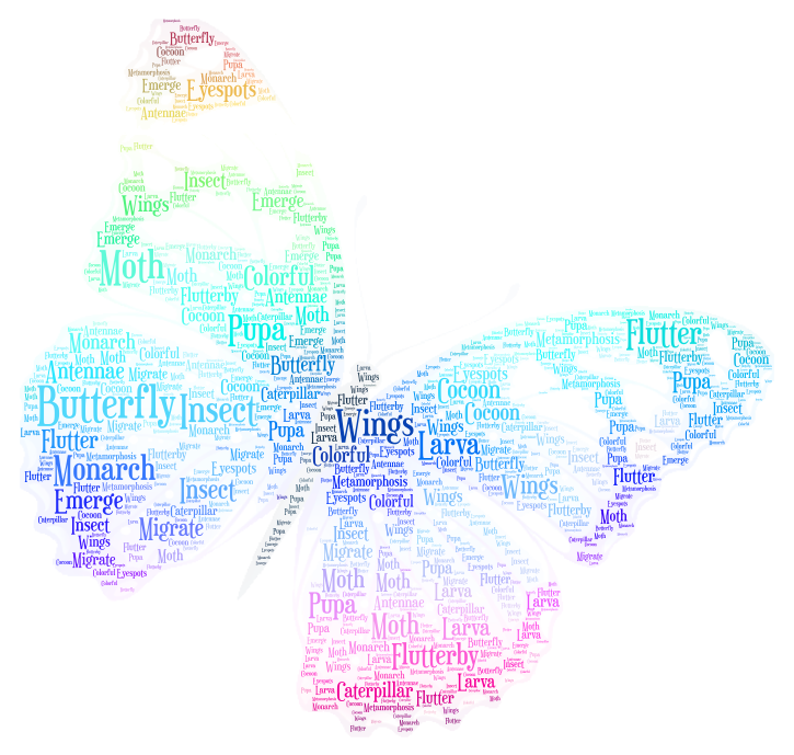 butterfly – WordArt.com