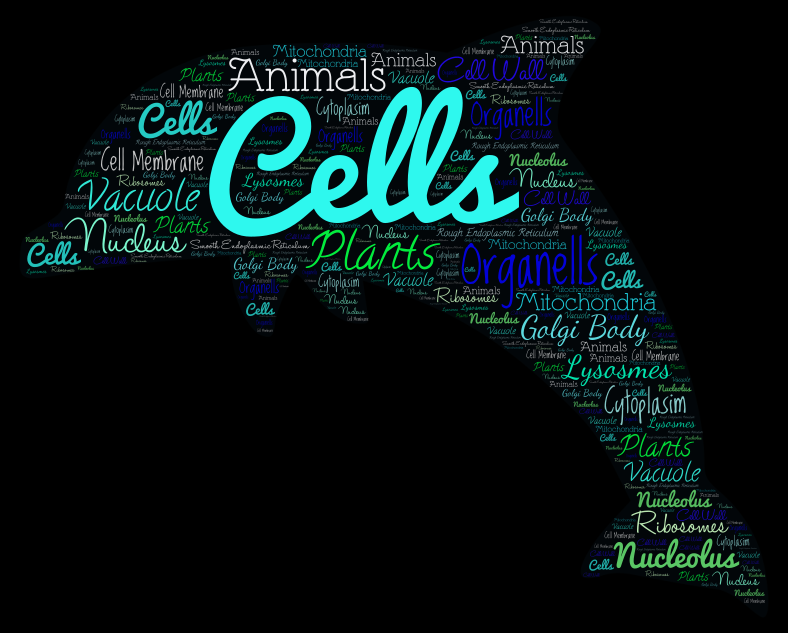 cells-wordart