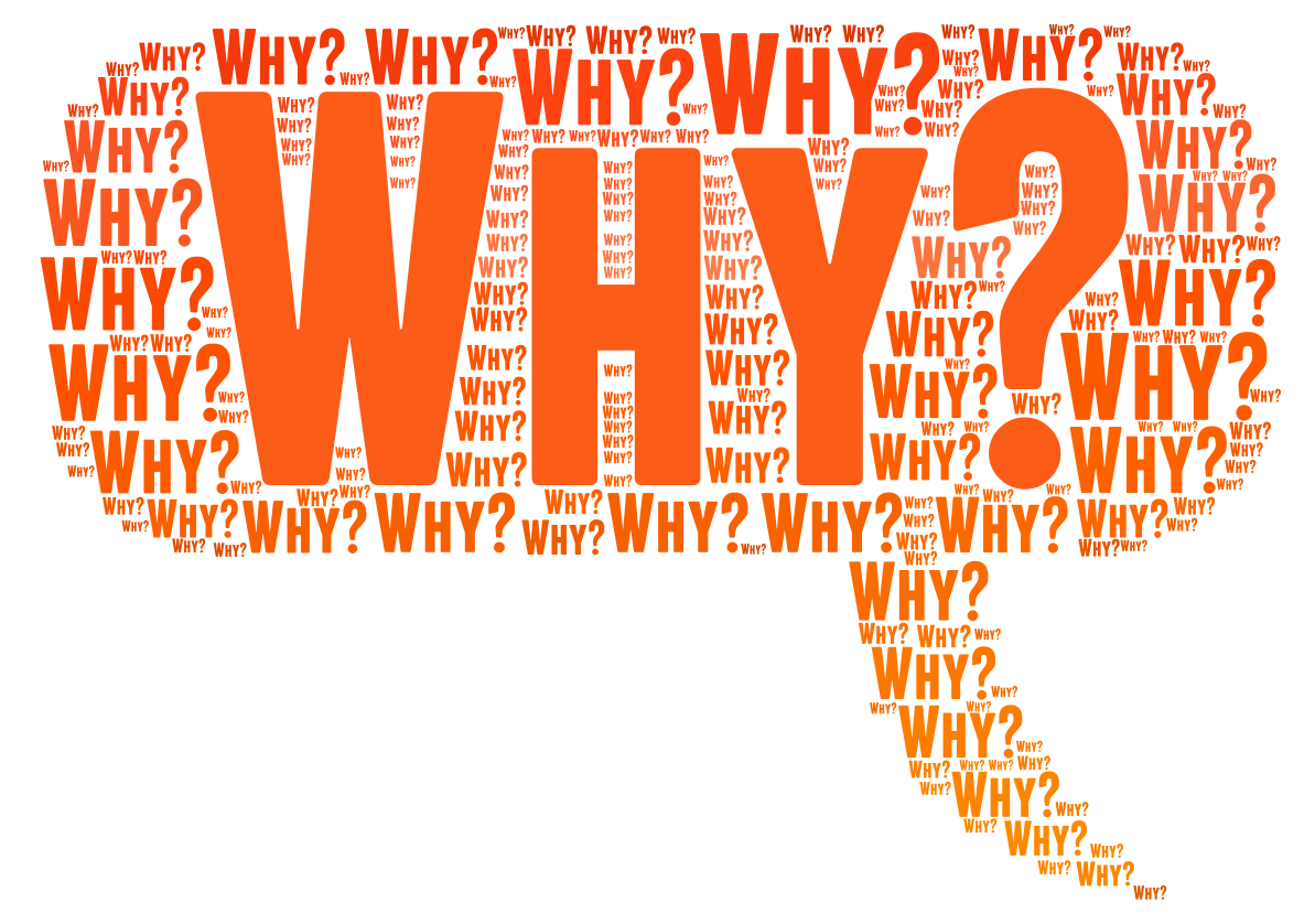 Project242: Defining Your “WHY” – Bridge the Gap Consulting, LLC