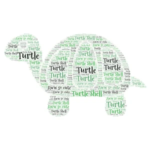 Turtle word cloud art