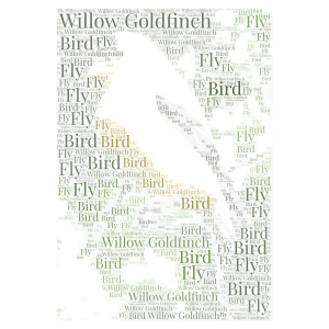 Willow Goldfinch States bird of Washington word cloud art
