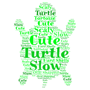 Things About Turtle word cloud art