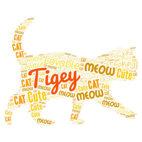 Tigey, my cat word cloud art