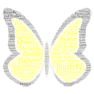 Different Types Of Butterflys word cloud art