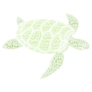 Jackson is a turtle word cloud art