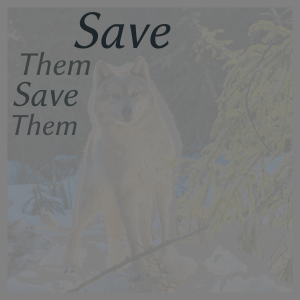 Save the Wolves word cloud art