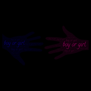 Are You A Boy Or Girl??? word cloud art