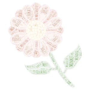 Werner Zsófi word cloud art