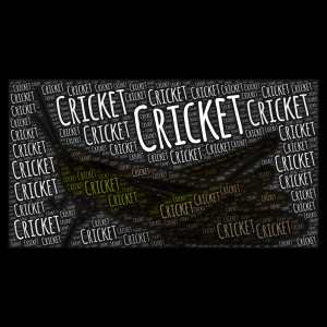 A Cricket word cloud art